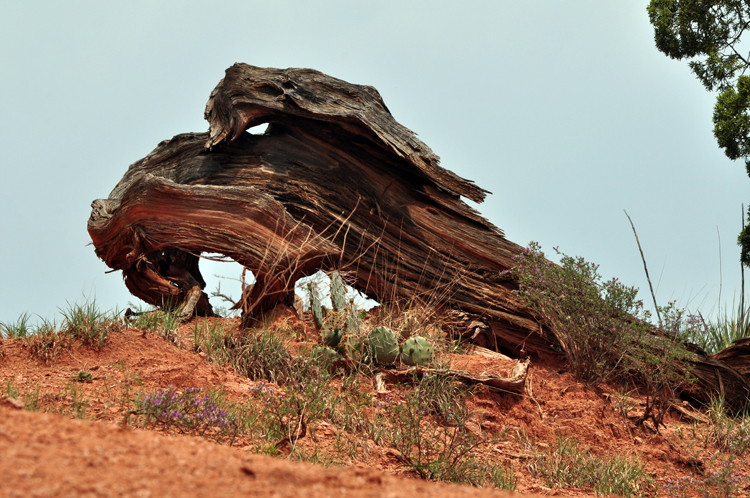 tree sculpture