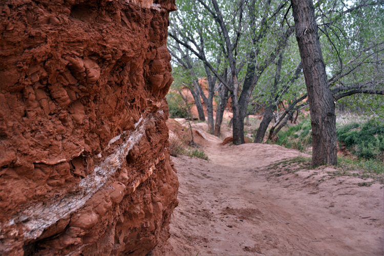 hiking trail