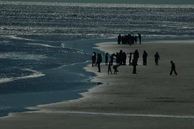 tybee beach