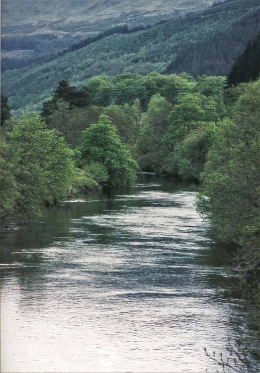 stream 