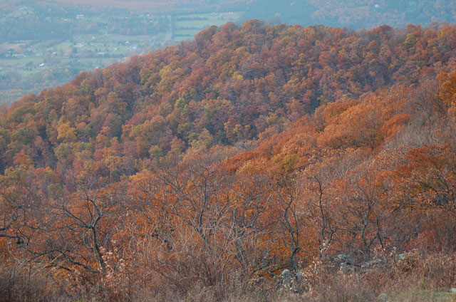 rolling hills of autumn colors