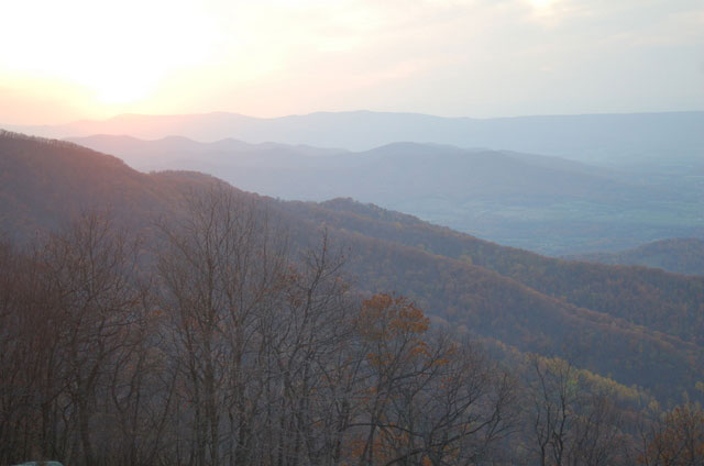 trees as sun is setting