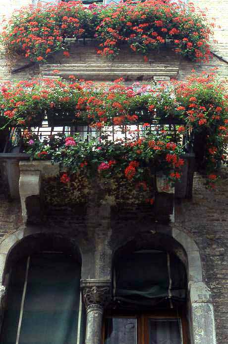 house of flowers on canal