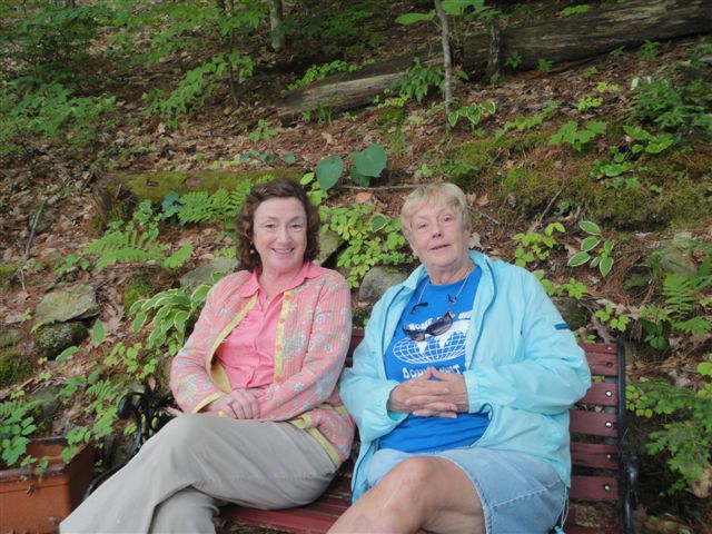 at the cabin