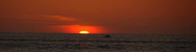 the sunset