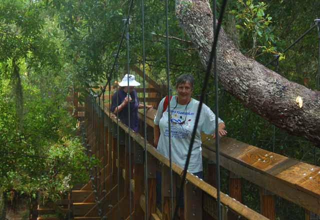 canopy trail