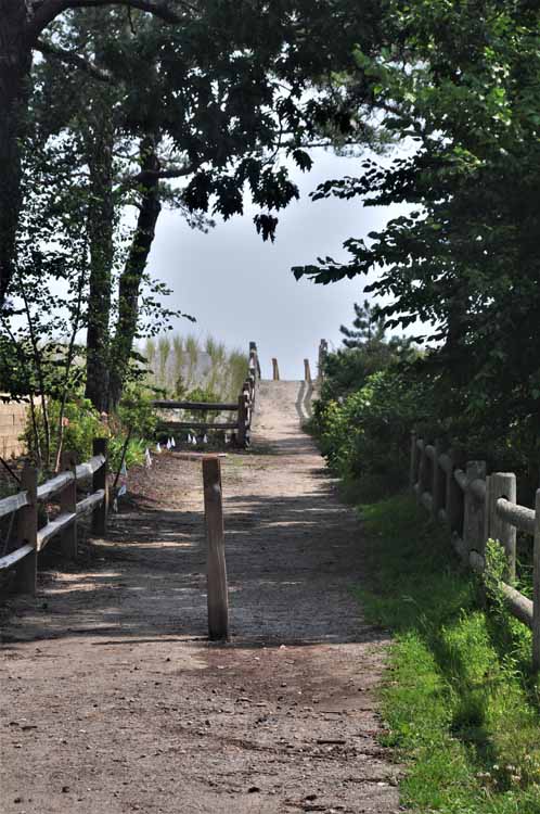 sandy path to beach