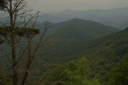 scenic, blue ridge parkway