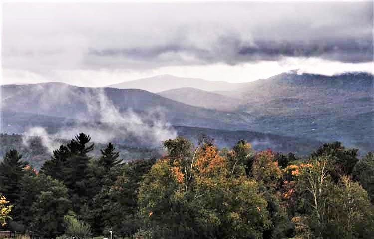 fall foliage