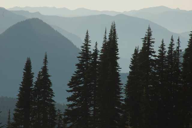 Mount Rainier