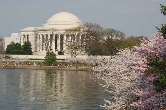 The Thomas Jefferson Memorial