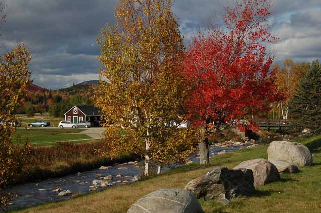 white mountain park grounds