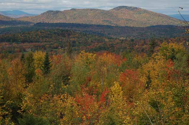 hills in background