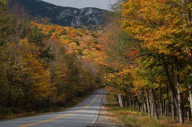 autumn road