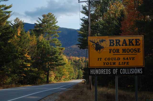 brake for moose sign